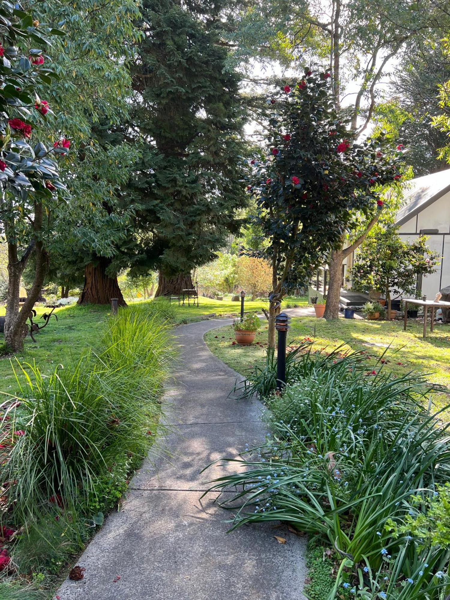 Olinda Country Cottages Exterior photo